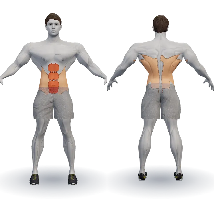 Muscles worked: Abs
