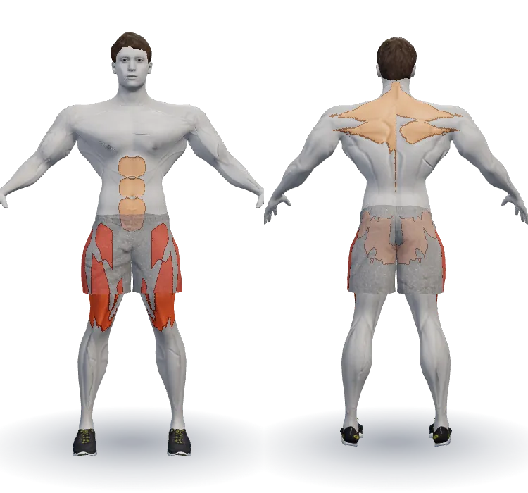 Muscles worked: Quads