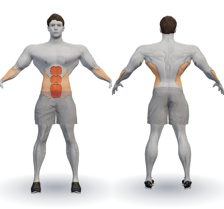 Muscles worked: Abs
