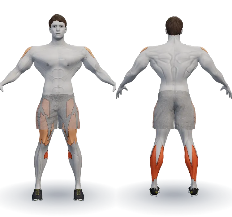 Muscles worked: Calves