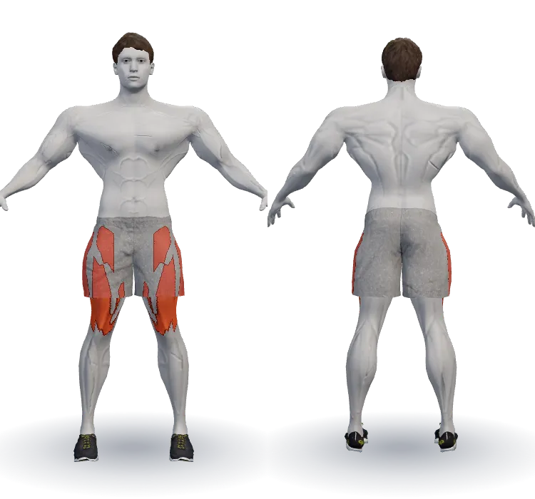 Muscles worked: Quads