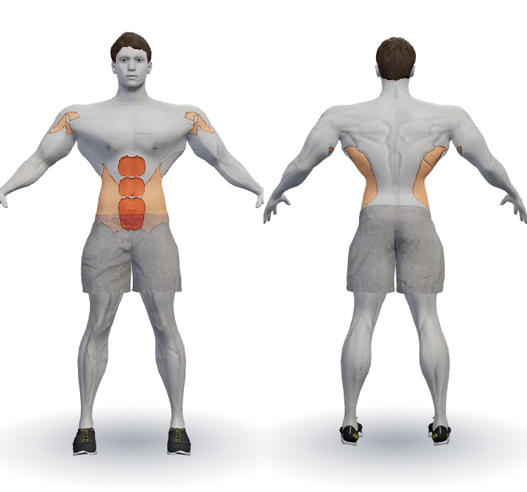 Muscles worked: Abs
