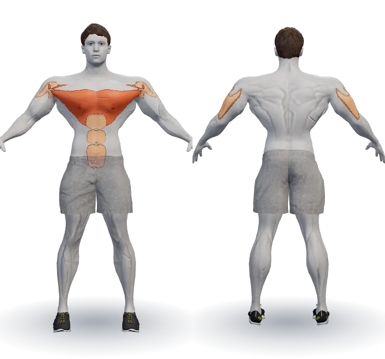 Muscles worked: Chest (mid/lower)