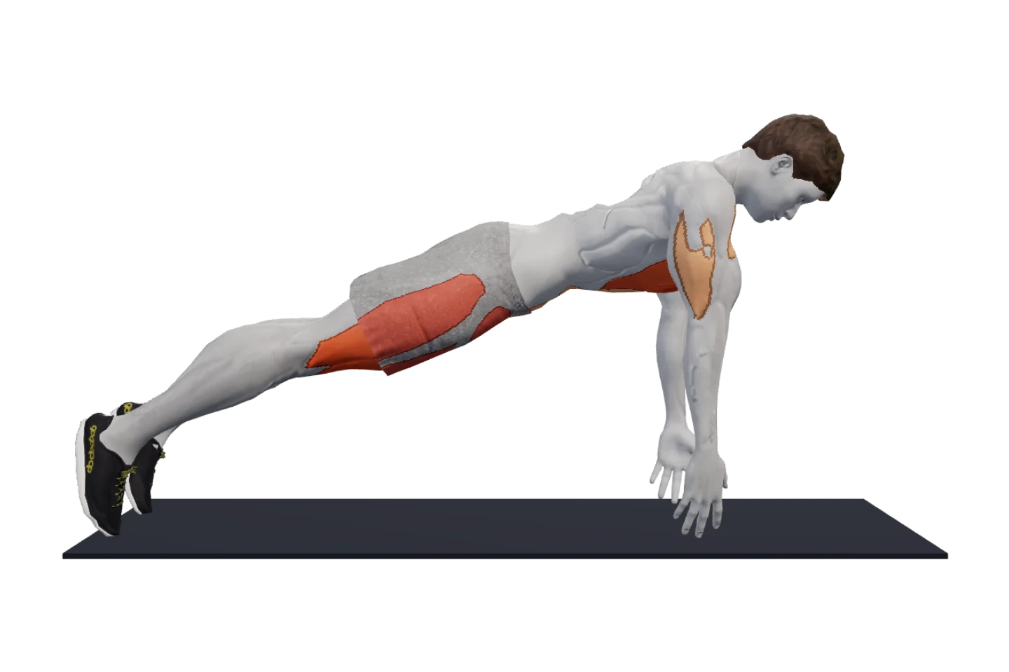 Burpee