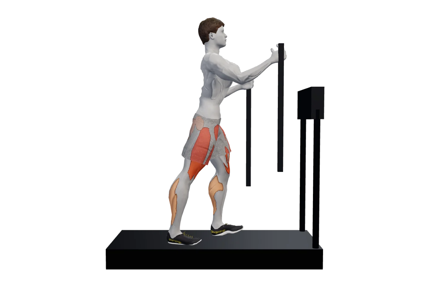 Crosstrainer