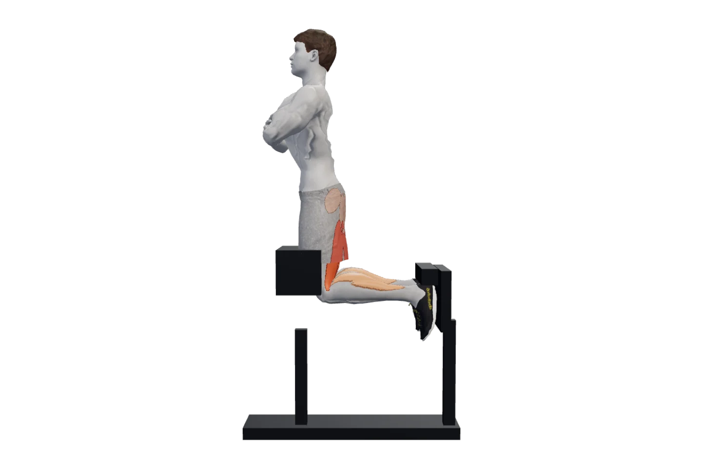 Glute-ham raise